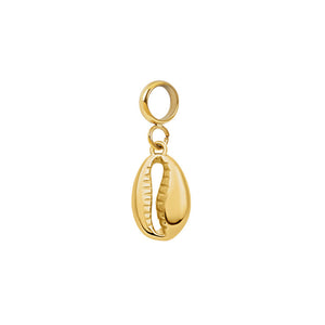 Bedel Kauri  schelpje