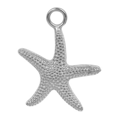 Hanger Sea star Zilver